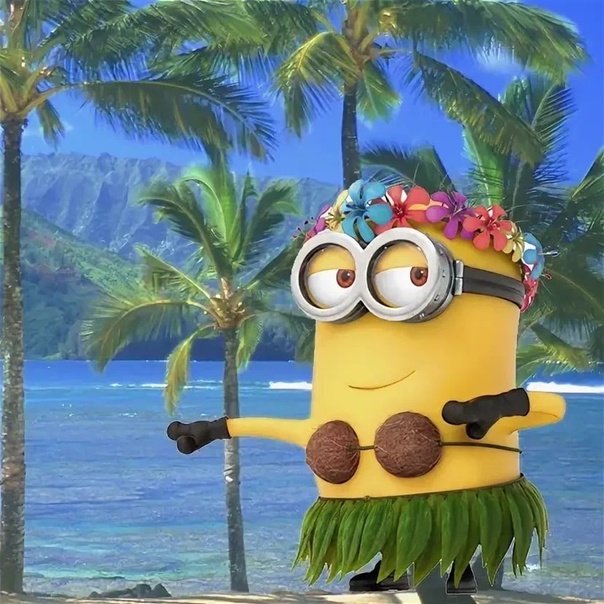 MINON on a tropical beach